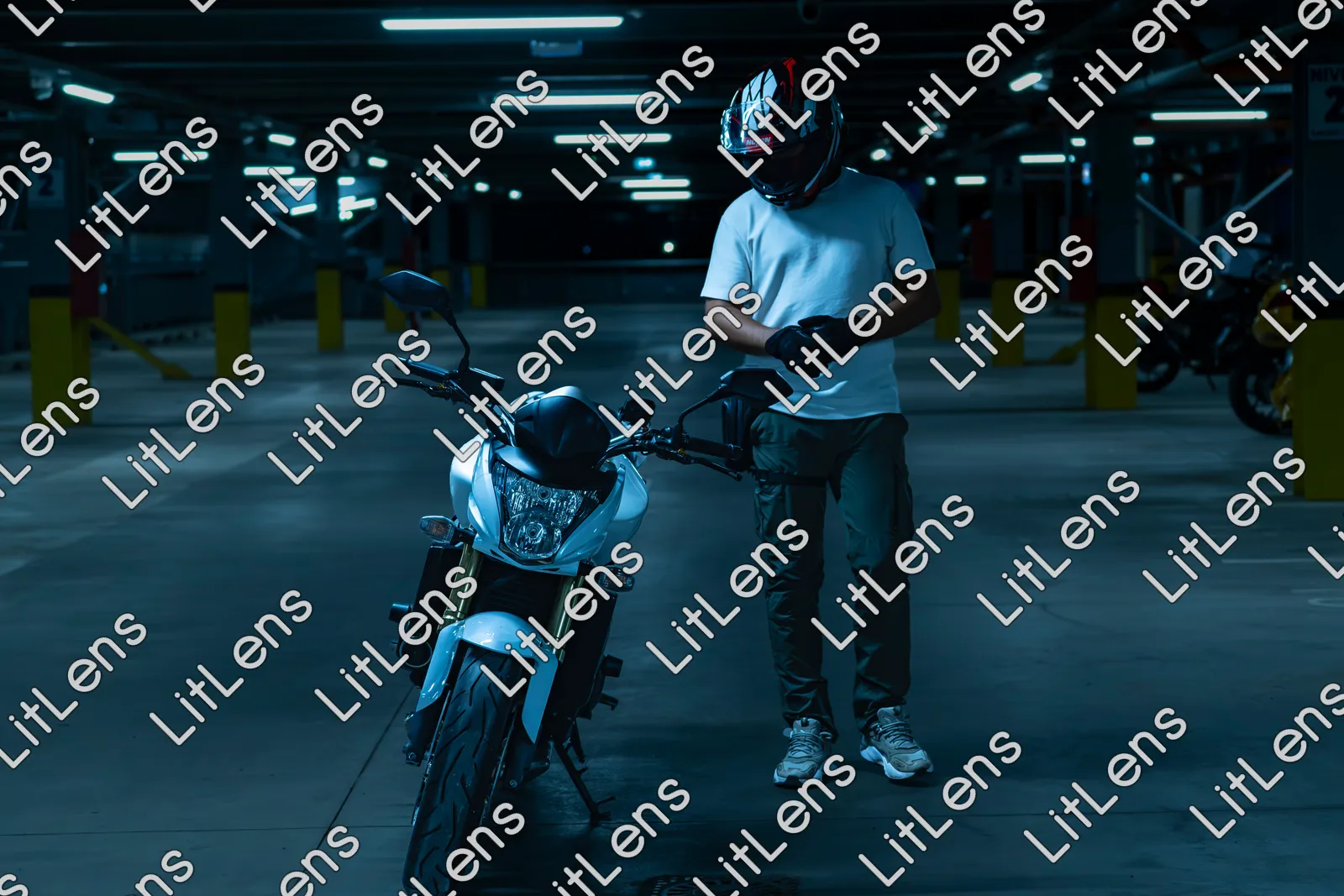 Fotografie din categoria Tudor Arghezi 2 august