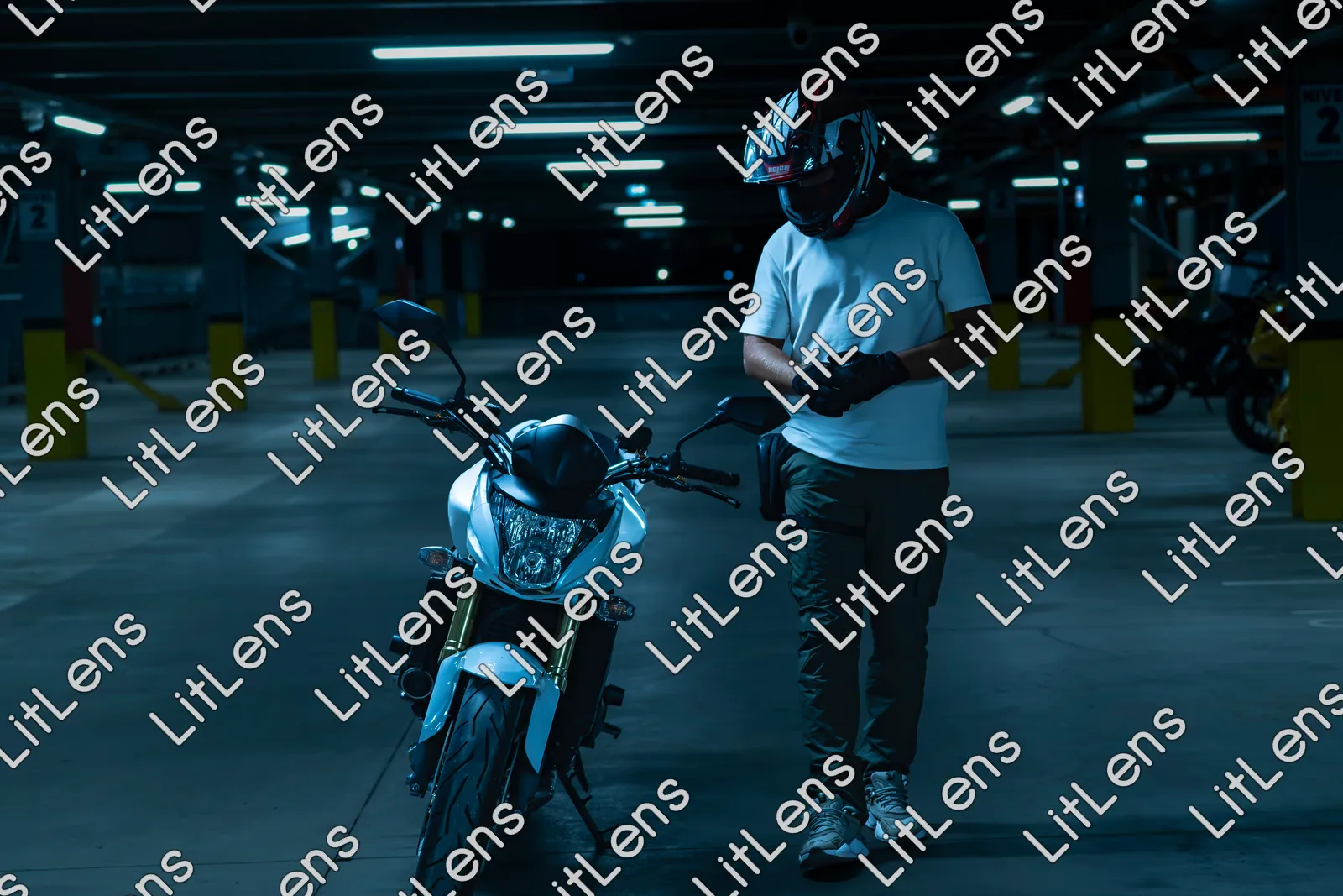Fotografie din categoria Tudor Arghezi 2 august