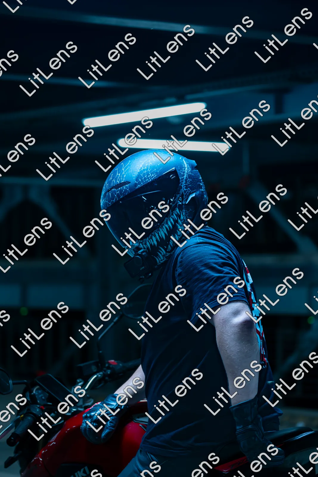 Fotografie din categoria Tudor Arghezi 2 august